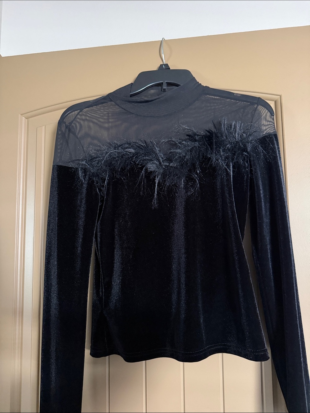 SHEIN Black Velvet Long Sleeve Top with Feather Trim